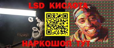 PSILOCYBIN Сланцы