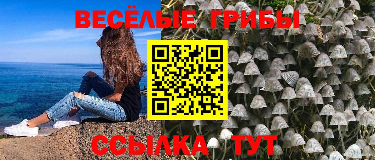 Псилоцибиновые грибы прущие грибы Нарткала