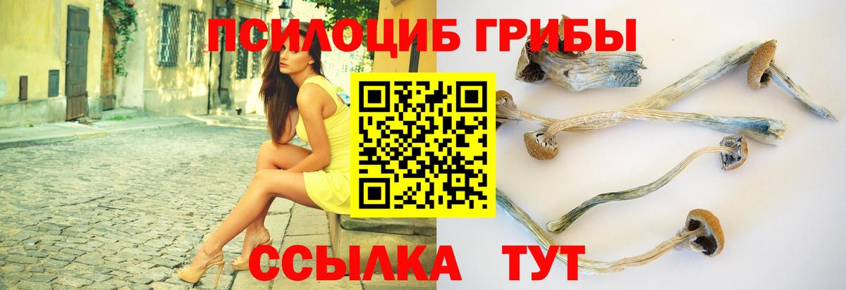 Нарткала  Псилоцибиновые грибы прущие грибы  Вход с VPN  Псилоцибиновые грибы прущие грибы 