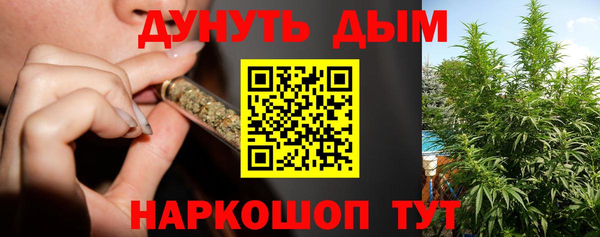 МАРИХУАНА индика Нарткала